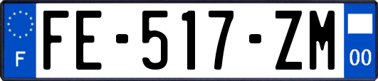 FE-517-ZM
