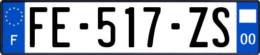 FE-517-ZS