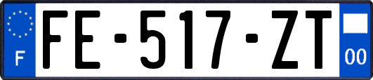 FE-517-ZT