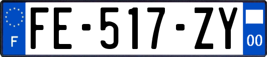 FE-517-ZY