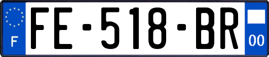 FE-518-BR