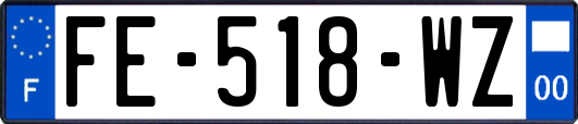 FE-518-WZ