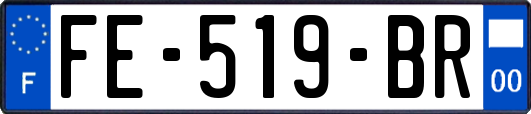 FE-519-BR