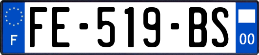 FE-519-BS