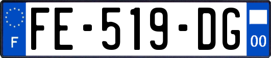 FE-519-DG