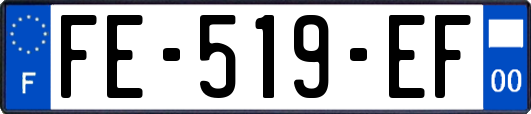 FE-519-EF