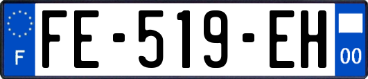 FE-519-EH
