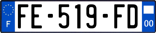 FE-519-FD