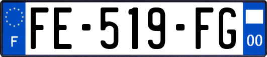 FE-519-FG