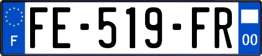 FE-519-FR