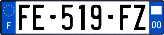 FE-519-FZ