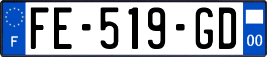 FE-519-GD