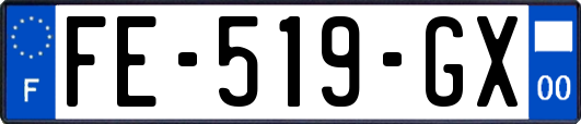 FE-519-GX