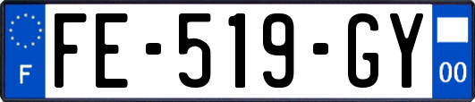 FE-519-GY