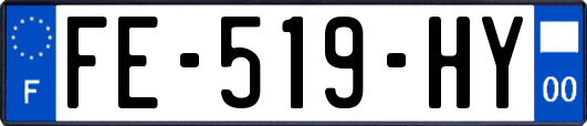 FE-519-HY