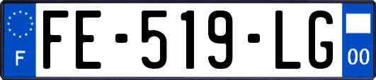 FE-519-LG