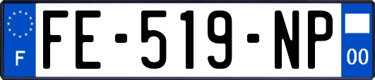 FE-519-NP