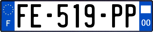 FE-519-PP