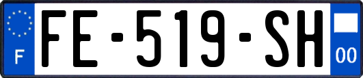 FE-519-SH