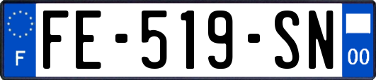 FE-519-SN