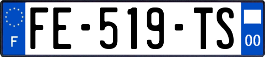 FE-519-TS