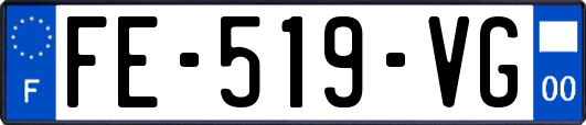 FE-519-VG
