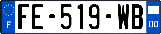 FE-519-WB