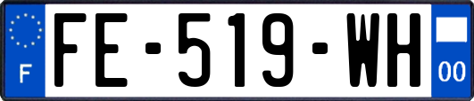 FE-519-WH