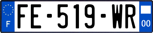 FE-519-WR