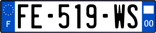 FE-519-WS