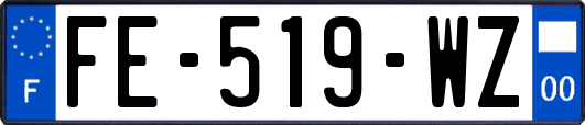 FE-519-WZ