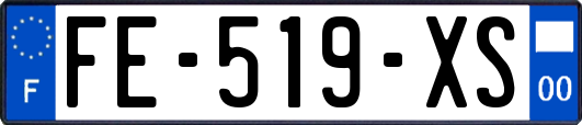 FE-519-XS