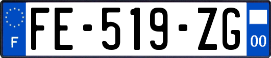 FE-519-ZG