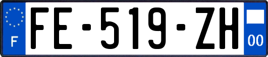 FE-519-ZH