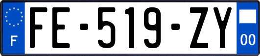 FE-519-ZY