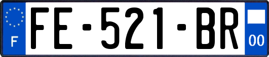 FE-521-BR