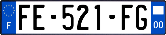 FE-521-FG