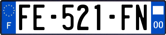 FE-521-FN