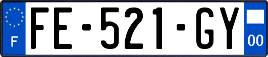 FE-521-GY