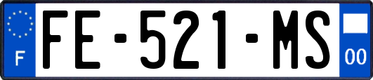 FE-521-MS