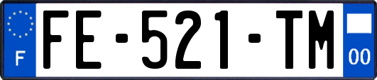 FE-521-TM