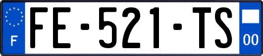 FE-521-TS