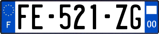 FE-521-ZG