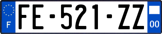 FE-521-ZZ