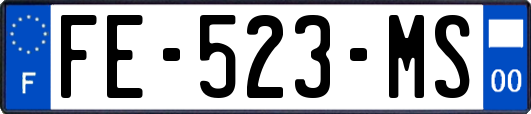 FE-523-MS