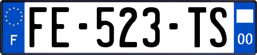 FE-523-TS