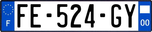 FE-524-GY