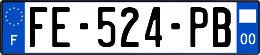 FE-524-PB