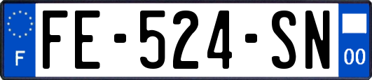FE-524-SN