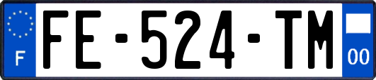FE-524-TM